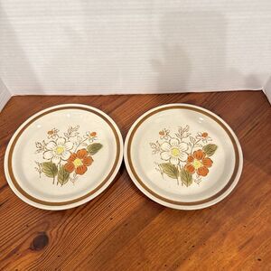 Old Brook Stonecreek Stoneware Orange Floral Salad Bread Plates Set of 2